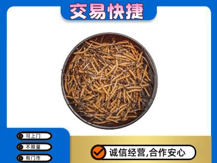 塔城高价回收散虫草